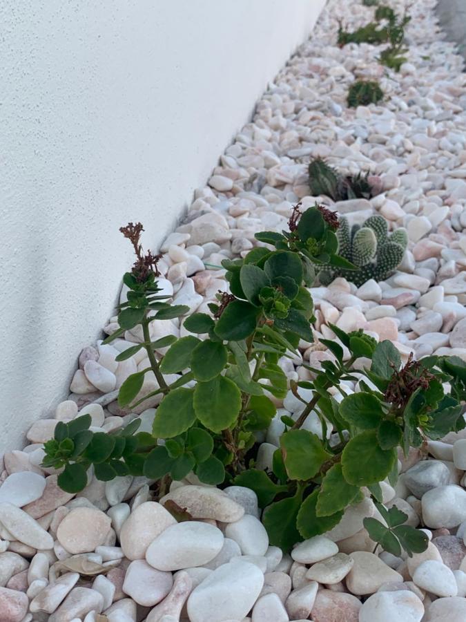 Torreira Vacation Homes - Sea House Exterior foto
